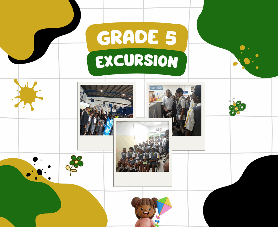 Primary School Aviation Excursion