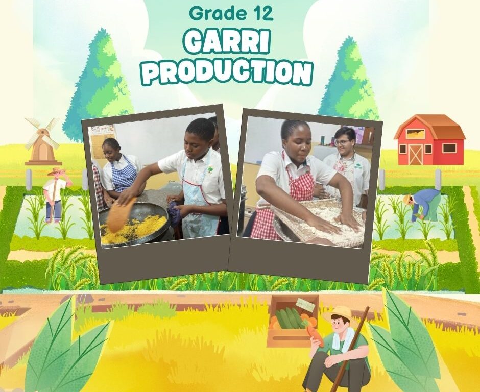 Garri Production